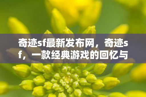 奇迹sf最新发布网，奇迹sf，一款经典游戏的回忆与传承