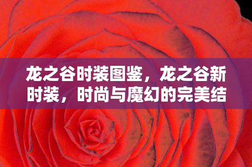 龙之谷时装图鉴，龙之谷新时装，时尚与魔幻的完美结合