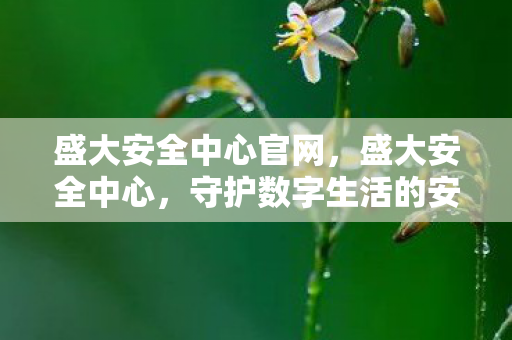 盛大安全中心官网，盛大安全中心，守护数字生活的安全防线