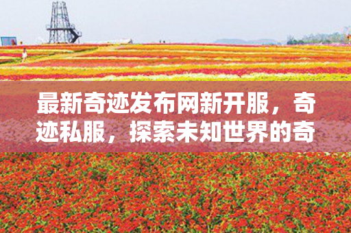 最新奇迹发布网新开服,奇迹私服,探索未知世界的奇幻之旅 最新奇迹发布网新开服,奇迹私服,探索未知世界的奇幻之旅
