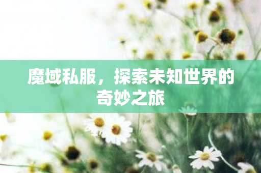 魔域私服，探索未知世界的奇妙之旅