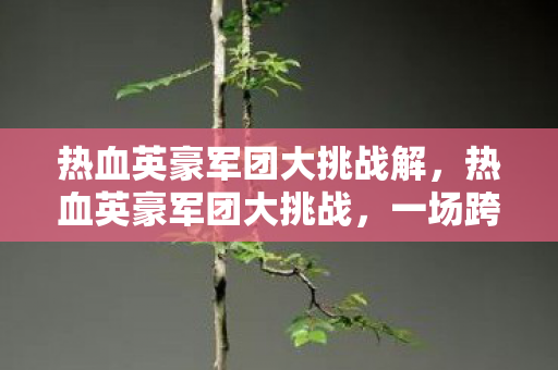 热血英豪军团大挑战解,热血英豪军团大挑战,一场跨越时代的荣耀之战 热血英豪军团大挑战解,热血英豪军团大挑战,一场跨越时代的荣耀之战