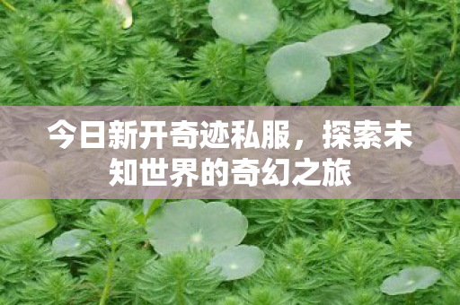 今日新开奇迹私服,探索未知世界的奇幻之旅 今日新开奇迹私服,探索未知世界的奇幻之旅
