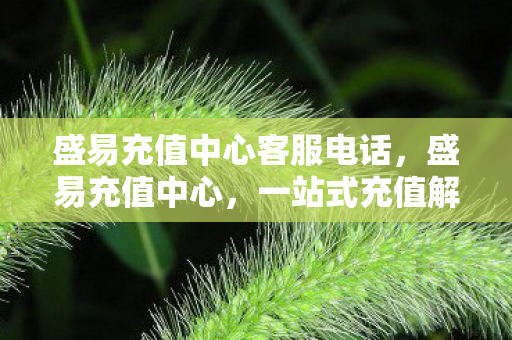 盛易充值中心客服电话,盛易充值中心,一站式充值解决方案 盛易充值中心客服电话,盛易充值中心,一站式充值解决方案