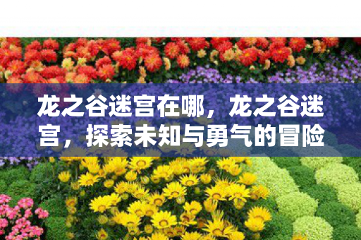 龙之谷迷宫在哪,龙之谷迷宫,探索未知与勇气的冒险之旅 龙之谷迷宫在哪,龙之谷迷宫,探索未知与勇气的冒险之旅