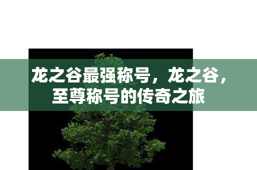 龙之谷最强称号,龙之谷,至尊称号的传奇之旅 龙之谷最强称号,龙之谷,至尊称号的传奇之旅