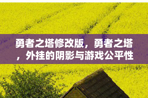 勇者之塔修改版,勇者之塔,外挂的阴影与游戏公平性的探讨 勇者之塔修改版,勇者之塔,外挂的阴影与游戏公平性的探讨