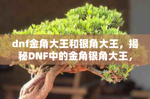 dnf金角大王和银角大王，揭秘DNF中的金角银角大王，神话背后的故事