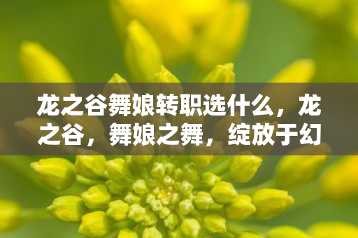 龙之谷舞娘转职选什么,龙之谷,舞娘之舞,绽放于幻想世界的绚烂篇章 龙之谷舞娘转职选什么,龙之谷,舞娘之舞,绽放于幻想世界的绚烂篇章