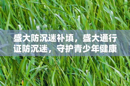 盛大防沉迷补填,盛大通行证防沉迷,守护青少年健康成长的数字防线 盛大防沉迷补填,盛大通行证防沉迷,守护青少年健康成长的数字防线