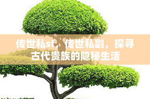 传世私sf,传世私副,探寻古代贵族的隐秘生活 传世私sf,传世私副,探寻古代贵族的隐秘生活