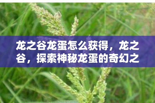 龙之谷龙蛋怎么获得,龙之谷,探索神秘龙蛋的奇幻之旅 龙之谷龙蛋怎么获得,龙之谷,探索神秘龙蛋的奇幻之旅
