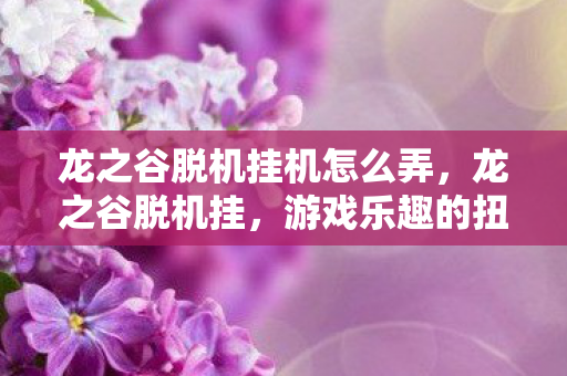 龙之谷脱机挂机怎么弄，龙之谷脱机挂，游戏乐趣的扭曲与反思