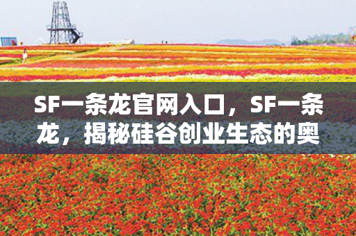 SF一条龙官网入口，SF一条龙，揭秘硅谷创业生态的奥秘