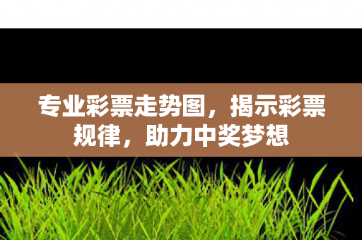 专业彩票走势图,揭示彩票规律,助力中奖梦想 专业彩票走势图,揭示彩票规律,助力中奖梦想