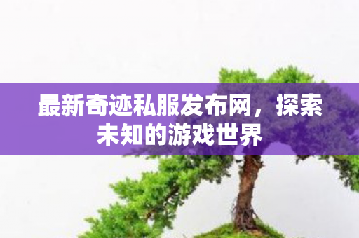 最新奇迹私服发布网，探索未知的游戏世界