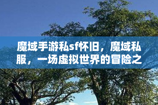 魔域手游私sf怀旧,魔域私服,一场虚拟世界的冒险之旅 魔域手游私sf怀旧,魔域私服,一场虚拟世界的冒险之旅