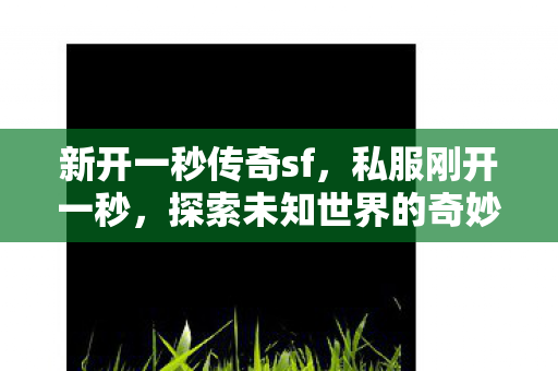 新开一秒传奇sf,私服刚开一秒,探索未知世界的奇妙之旅 新开一秒传奇sf,私服刚开一秒,探索未知世界的奇妙之旅
