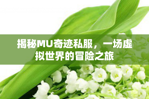 揭秘MU奇迹私服，一场虚拟世界的冒险之旅
