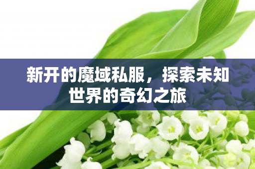 新开的魔域私服，探索未知世界的奇幻之旅