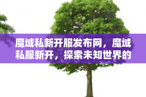 魔域私新开服发布网,魔域私服新开,探索未知世界的奇幻之旅 魔域私新开服发布网,魔域私服新开,探索未知世界的奇幻之旅