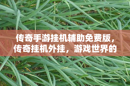 传奇手游挂机辅助免费版,传奇挂机外挂,游戏世界的灰色阴影 传奇手游挂机辅助免费版,传奇挂机外挂,游戏世界的灰色阴影