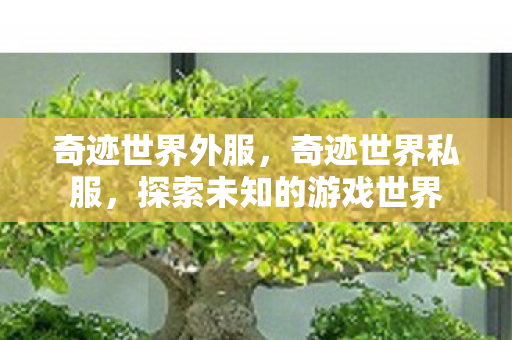 奇迹世界外服,奇迹世界私服,探索未知的游戏世界 奇迹世界外服,奇迹世界私服,探索未知的游戏世界