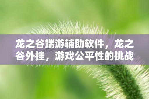 龙之谷端游辅助软件,龙之谷外挂,游戏公平性的挑战与应对 龙之谷端游辅助软件,龙之谷外挂,游戏公平性的挑战与应对