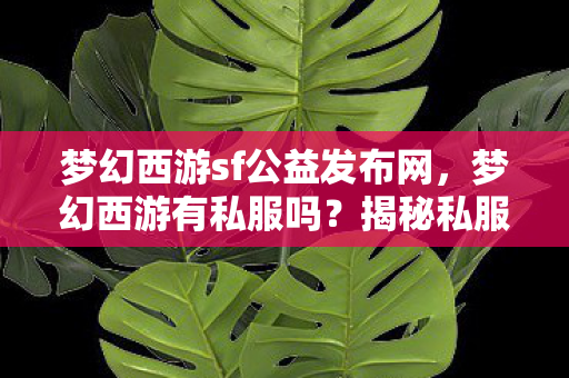 梦幻西游sf公益发布网,梦幻西游有私服吗?揭秘私服背后的真相 梦幻西游sf公益发布网,梦幻西游有私服吗?揭秘私服背后的真相