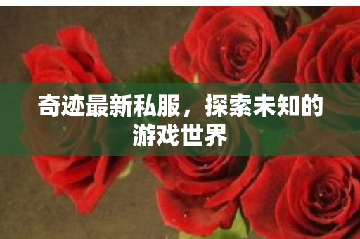 奇迹最新私服,探索未知的游戏世界 奇迹最新私服,探索未知的游戏世界