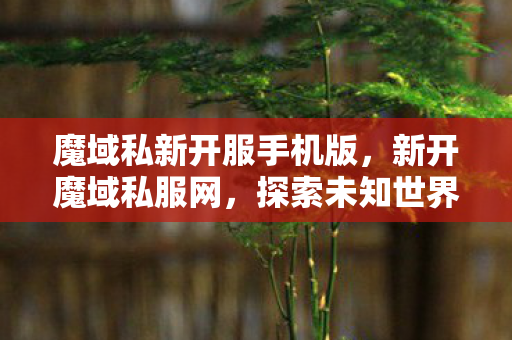 魔域私新开服手机版,新开魔域私服网,探索未知世界的奇幻之旅 魔域私新开服手机版,新开魔域私服网,探索未知世界的奇幻之旅
