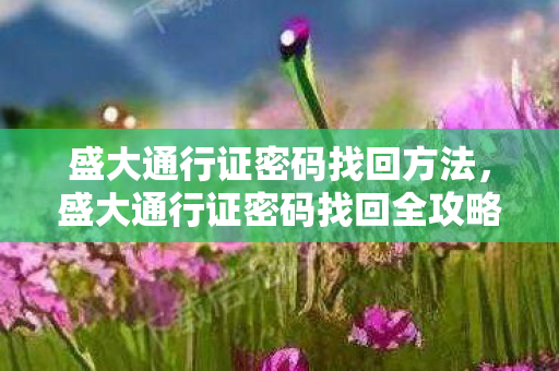 盛大通行证密码找回方法,盛大通行证密码找回全攻略 盛大通行证密码找回方法,盛大通行证密码找回全攻略