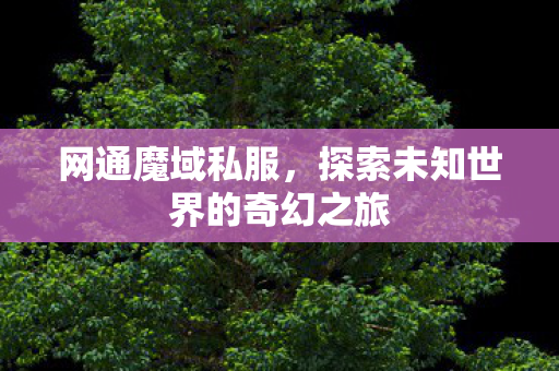网通魔域私服,探索未知世界的奇幻之旅 网通魔域私服,探索未知世界的奇幻之旅