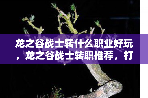 龙之谷战士转什么职业好玩,龙之谷战士转职推荐,打造你的专属战斗风格 龙之谷战士转什么职业好玩,龙之谷战士转职推荐,打造你的专属战斗风格