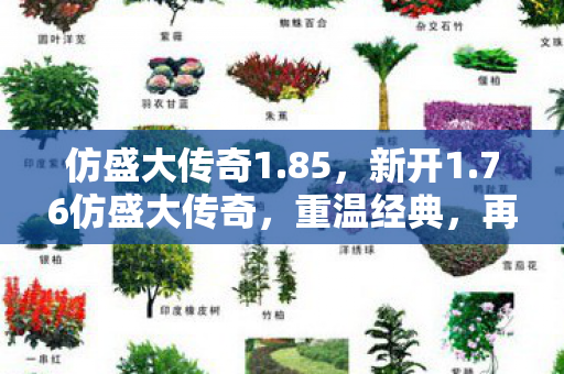 仿盛大传奇1.85,新开1.76仿盛大传奇,重温经典,再战江湖 仿盛大传奇1.85,新开1.76仿盛大传奇,重温经典,再战江湖
