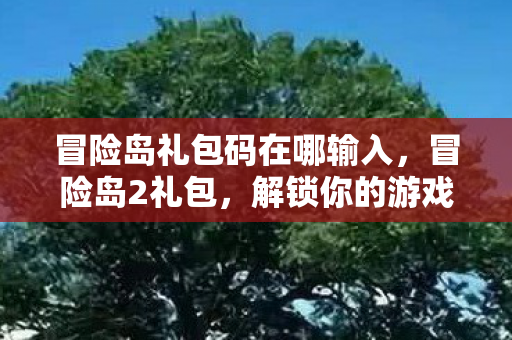 冒险岛礼包码在哪输入,冒险岛2礼包,解锁你的游戏之旅 冒险岛礼包码在哪输入,冒险岛2礼包,解锁你的游戏之旅