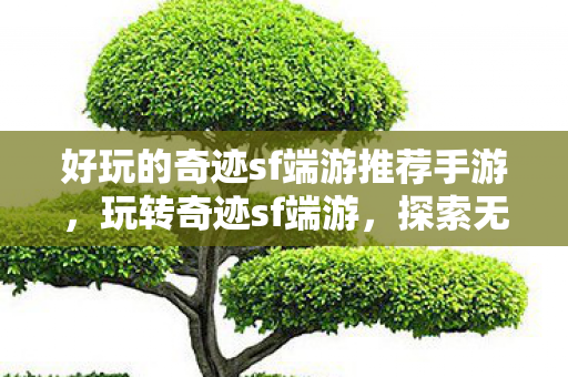 好玩的奇迹sf端游推荐手游,玩转奇迹sf端游,探索无限可能的经典游戏 好玩的奇迹sf端游推荐手游,玩转奇迹sf端游,探索无限可能的经典游戏