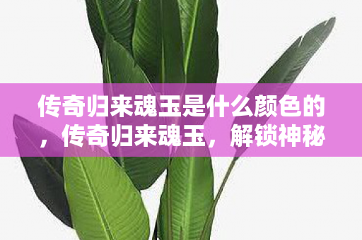 传奇归来魂玉是什么颜色的,传奇归来魂玉,解锁神秘力量的神秘宝石 传奇归来魂玉是什么颜色的,传奇归来魂玉,解锁神秘力量的神秘宝石