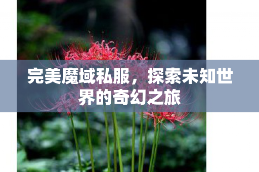 完美魔域私服,探索未知世界的奇幻之旅 完美魔域私服,探索未知世界的奇幻之旅