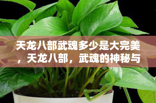 天龙八部武魂多少是大完美,天龙八部,武魂的神秘与传奇 天龙八部武魂多少是大完美,天龙八部,武魂的神秘与传奇