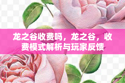 龙之谷收费吗,龙之谷,收费模式解析与玩家反馈 龙之谷收费吗,龙之谷,收费模式解析与玩家反馈