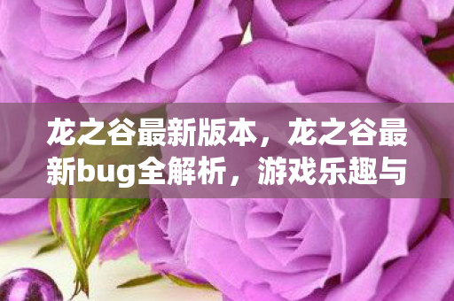 龙之谷最新版本，龙之谷最新bug全解析，游戏乐趣与玩家困扰的交织