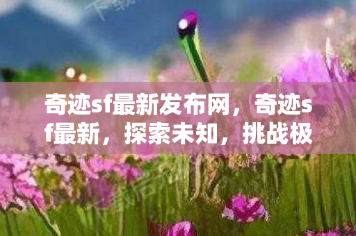 奇迹sf最新发布网，奇迹sf最新，探索未知，挑战极限