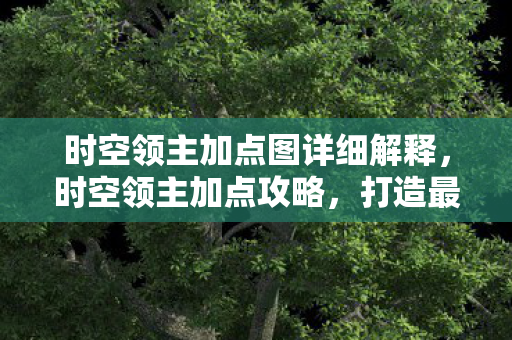 时空领主加点图详细解释,时空领主加点攻略,打造最强法师的奥秘 时空领主加点图详细解释,时空领主加点攻略,打造最强法师的奥秘