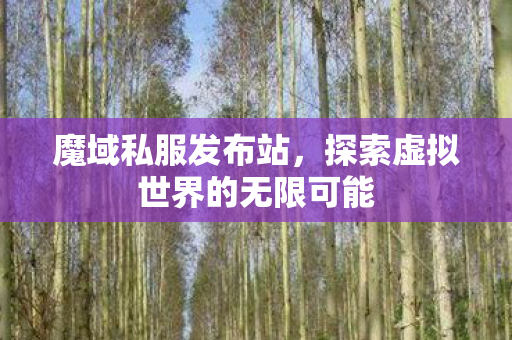 魔域私服发布站,探索虚拟世界的无限可能 魔域私服发布站,探索虚拟世界的无限可能
