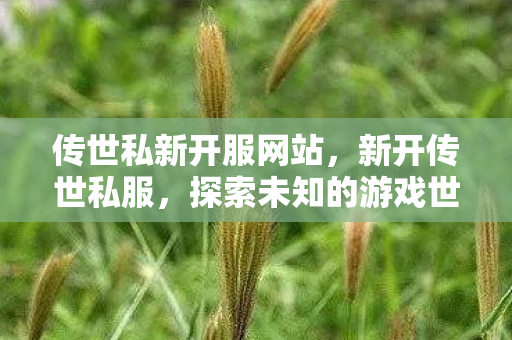 传世私新开服网站,新开传世私服,探索未知的游戏世界 传世私新开服网站,新开传世私服,探索未知的游戏世界