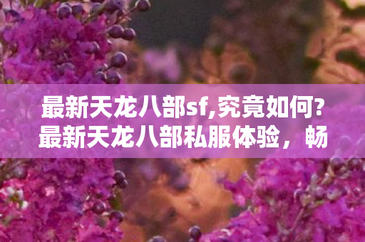 最新天龙八部sf,究竟如何?最新天龙八部私服体验,畅游武侠世界的极致享受 最新天龙八部sf,究竟如何?最新天龙八部私服体验,畅游武侠世界的极致享受