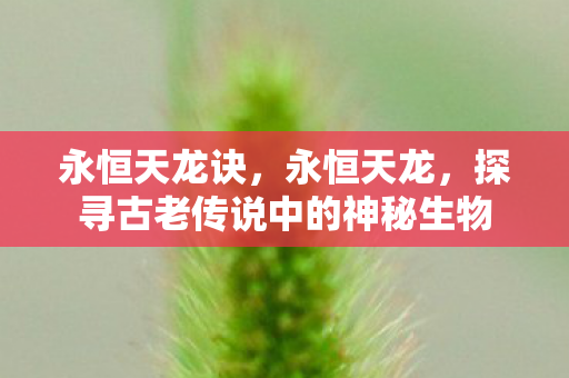 永恒天龙诀,永恒天龙,探寻古老传说中的神秘生物 永恒天龙诀,永恒天龙,探寻古老传说中的神秘生物