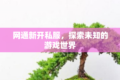 网通新开私服,探索未知的游戏世界 网通新开私服,探索未知的游戏世界