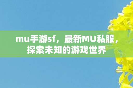mu手游sf,最新MU私服,探索未知的游戏世界 mu手游sf,最新MU私服,探索未知的游戏世界